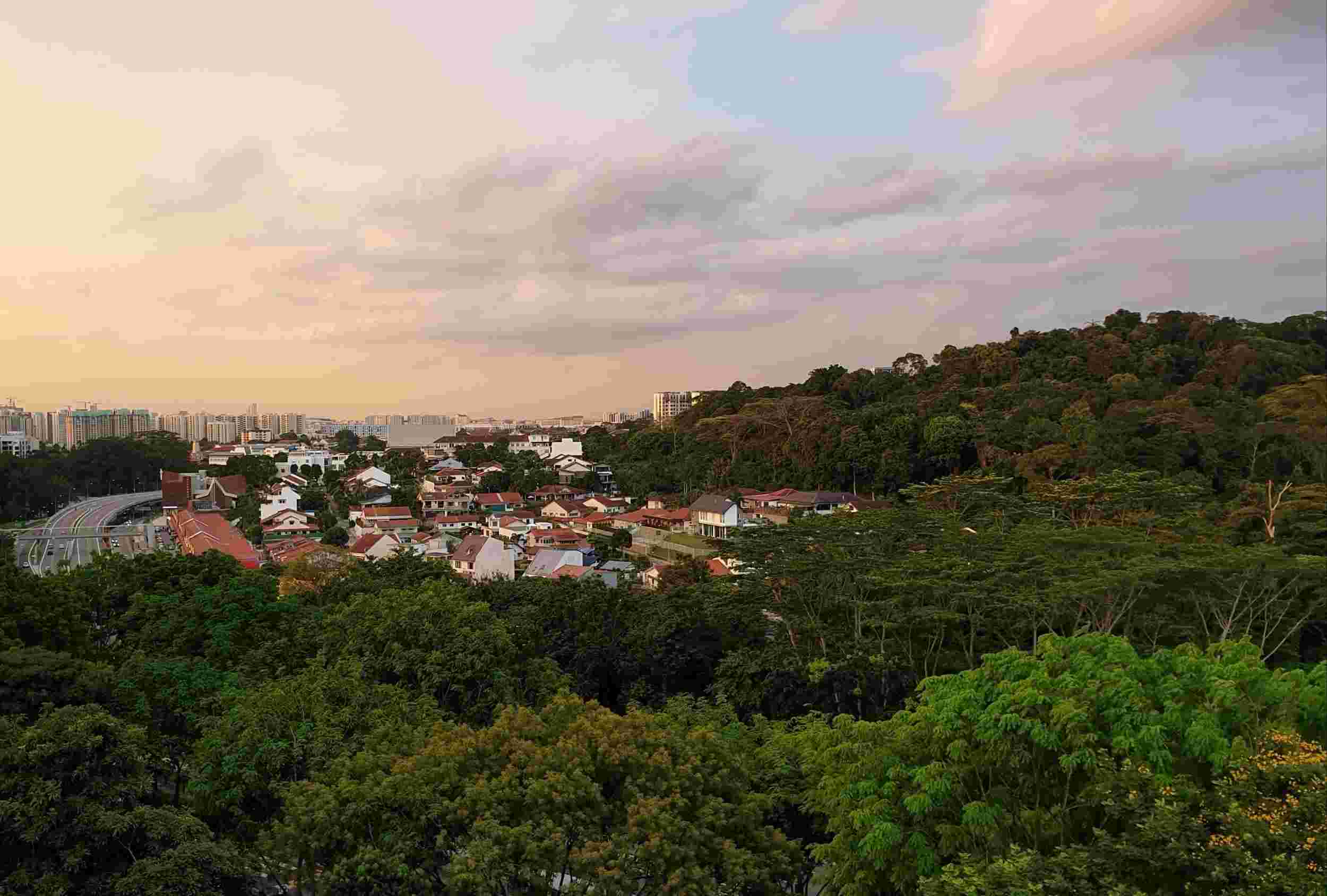 Landed Property Bukit Timah